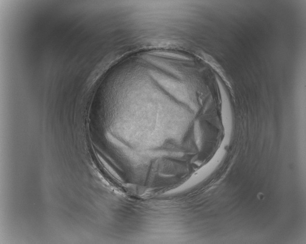 X0000062130577200512301504