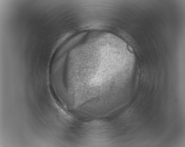 X0000062130578200512301504