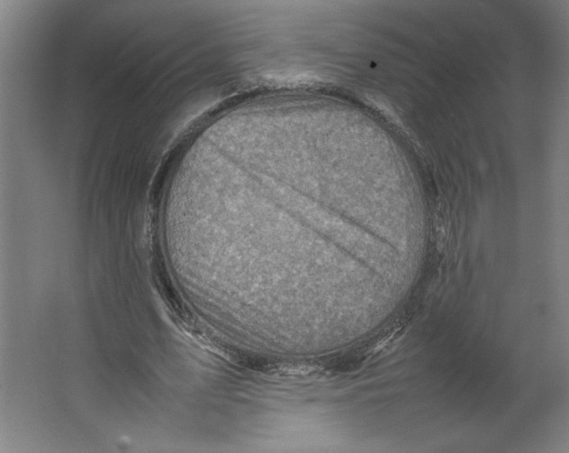 X0000062130583200512301503