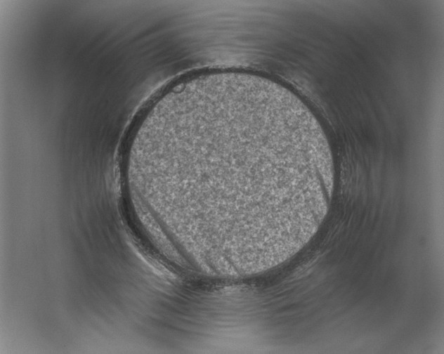 X0000062130584200512301503