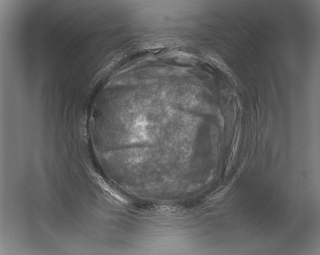 X0000062130585200512301503