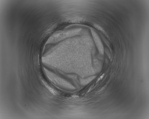 X0000062130589200512301503