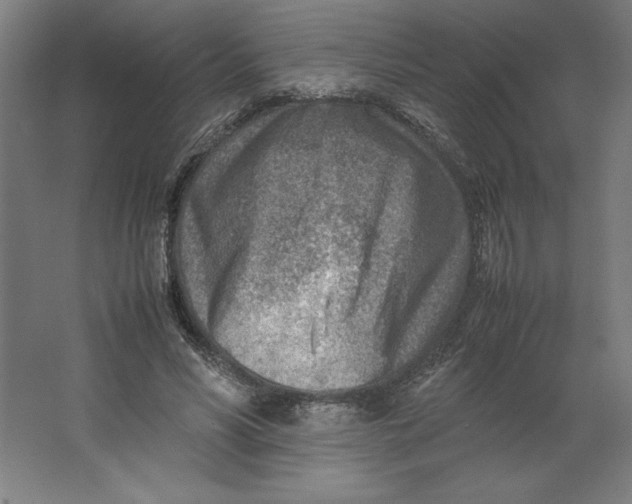 X0000062130590200512301503