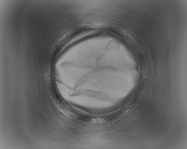 X0000062130591200512301503