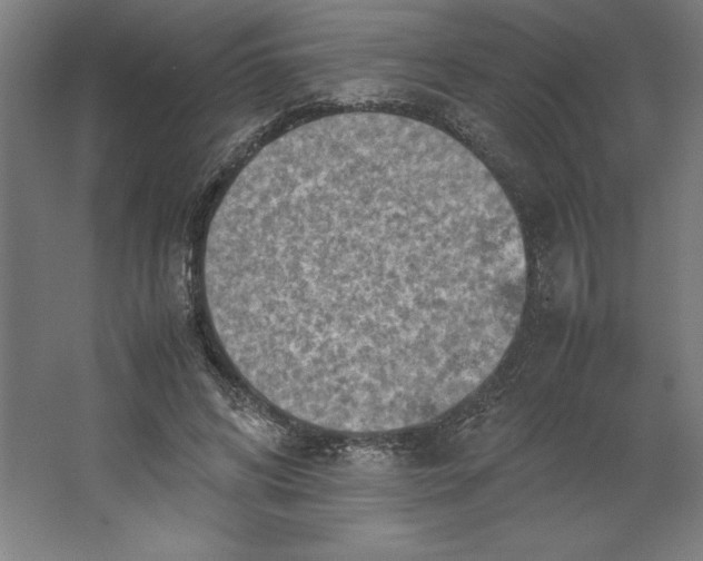 X0000062130592200512301503