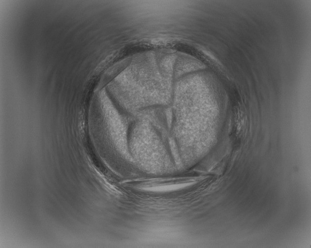 X0000062130593200512301503