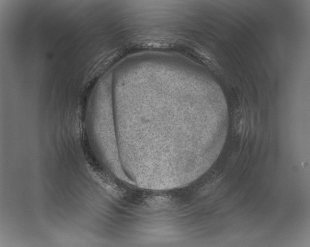 X0000062130594200512301503