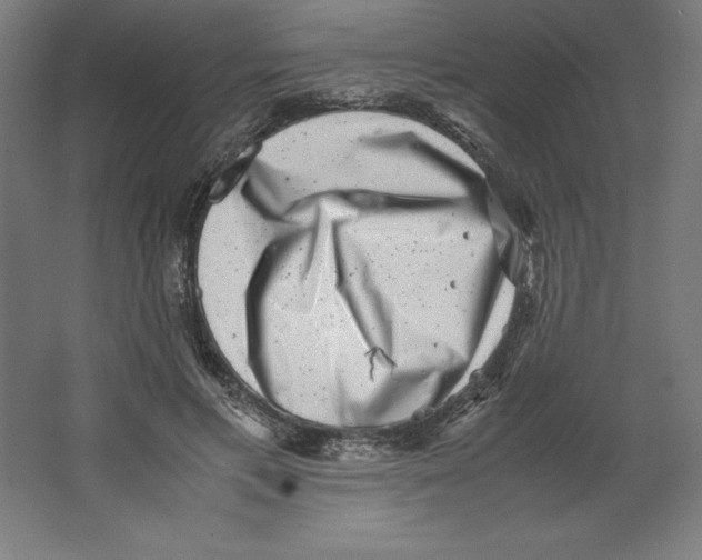 X0000062130597200512301503