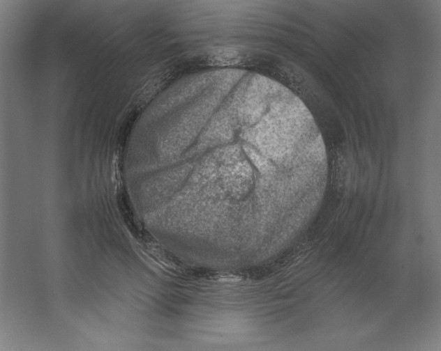 X0000062130598200512301503