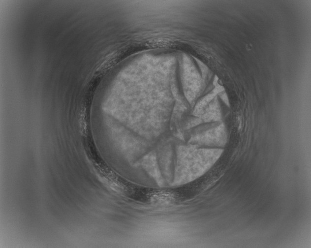 X0000062130599200512301503