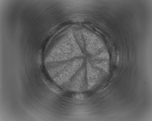 X0000062130600200512301503