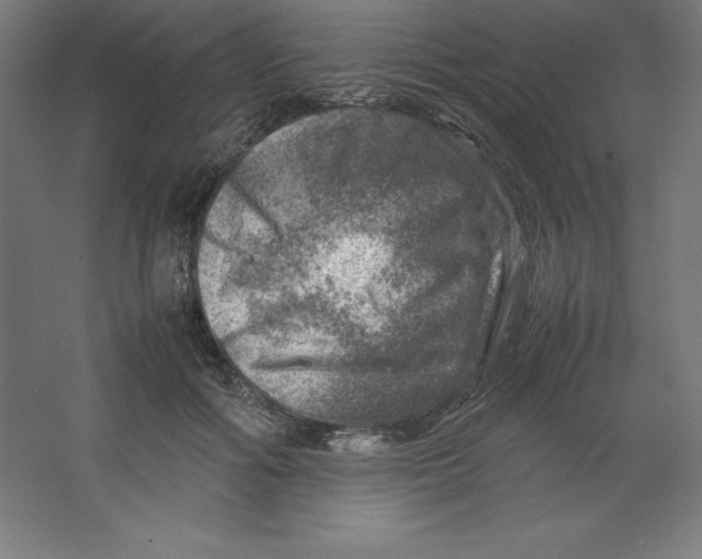 X0000062130602200512301503