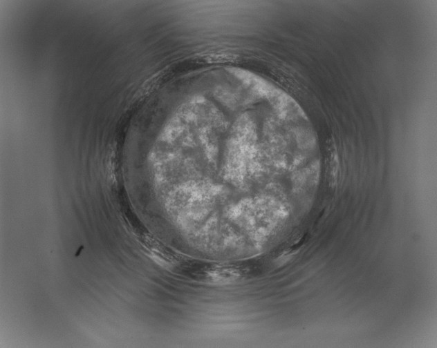 X0000062130604200512301503