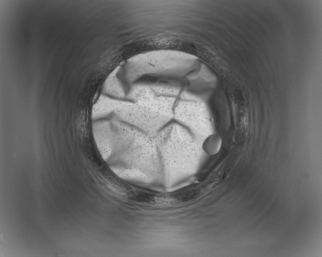 X0000062130605200512301503