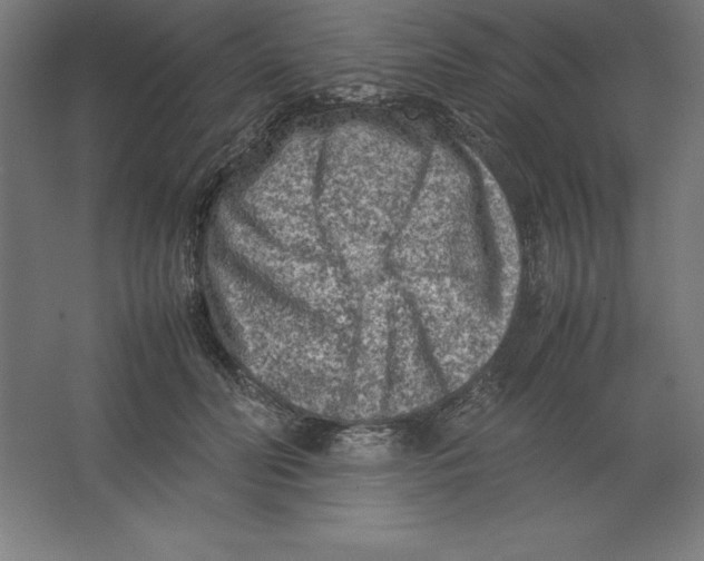 X0000062130606200512301503