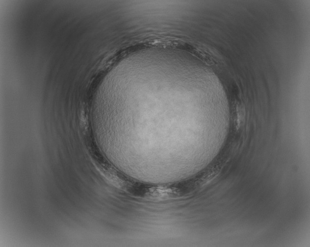 X0000062130607200512301503