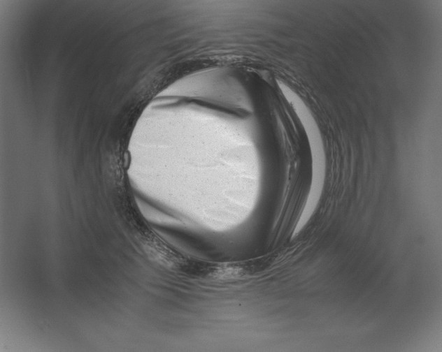 X0000062130609200512301503