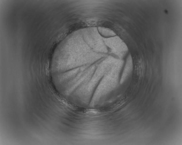 X0000062130610200512301503