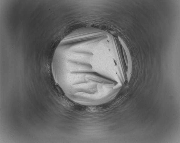 X0000062130613200512301503