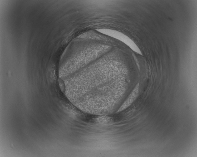 X0000062130615200512301503