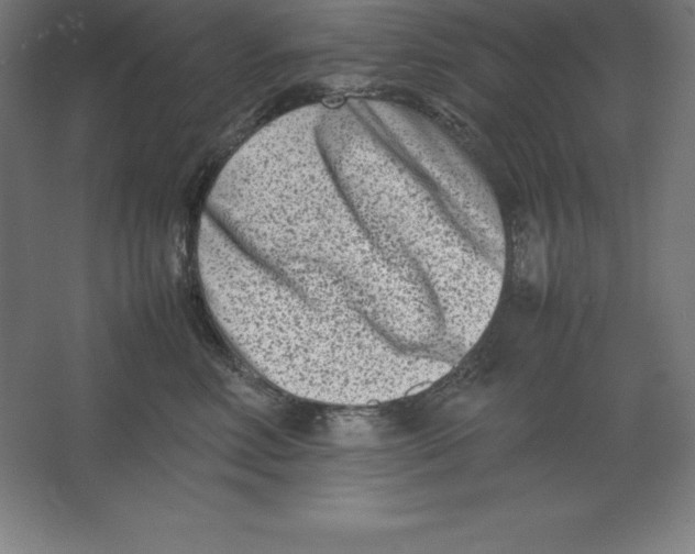 X0000062130618200512301503