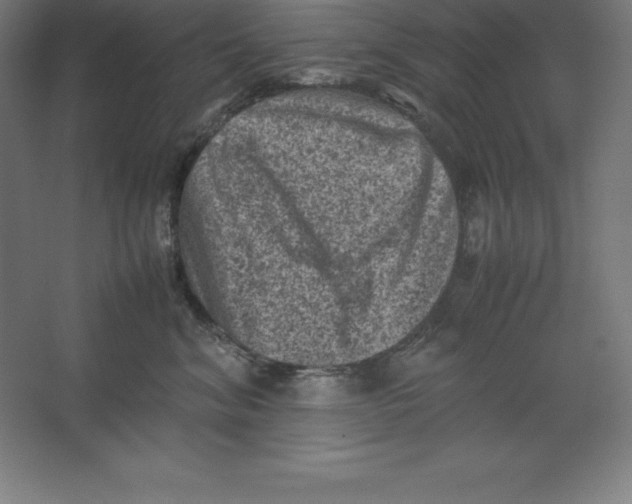 X0000062130620200512301503