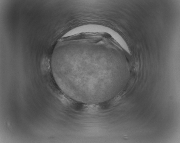 X0000062130621200512301503