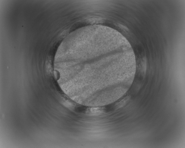 X0000062130622200512301503