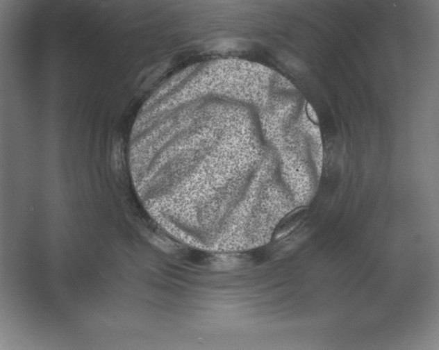 X0000062130623200512301503