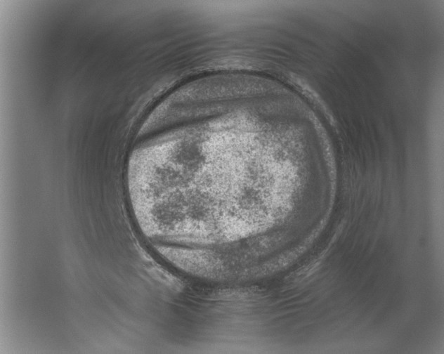 X0000062130625200512301502