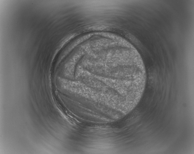 X0000062130626200512301502