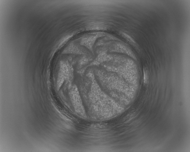 X0000062130627200512301502