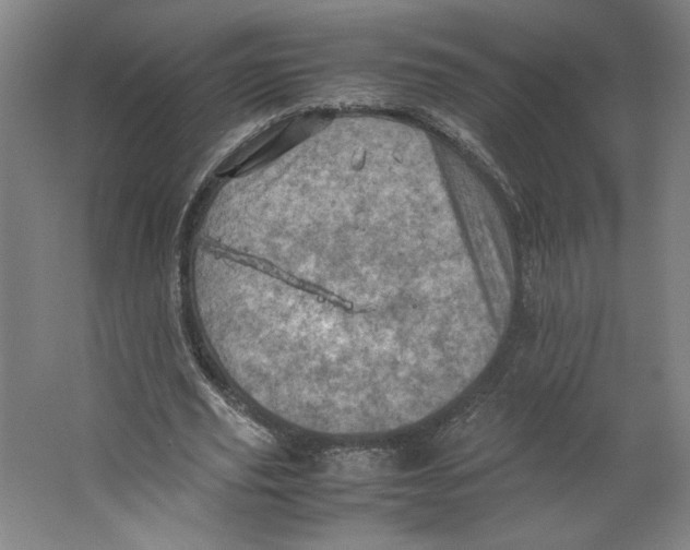 X0000062130629200512301502