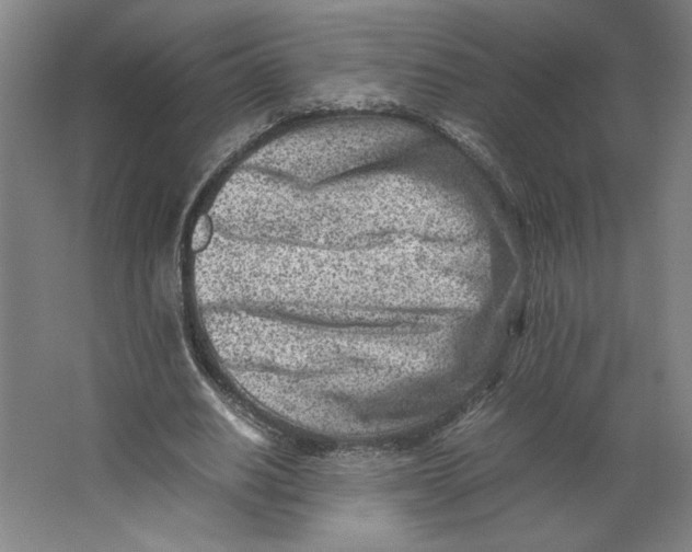 X0000062130630200512301502