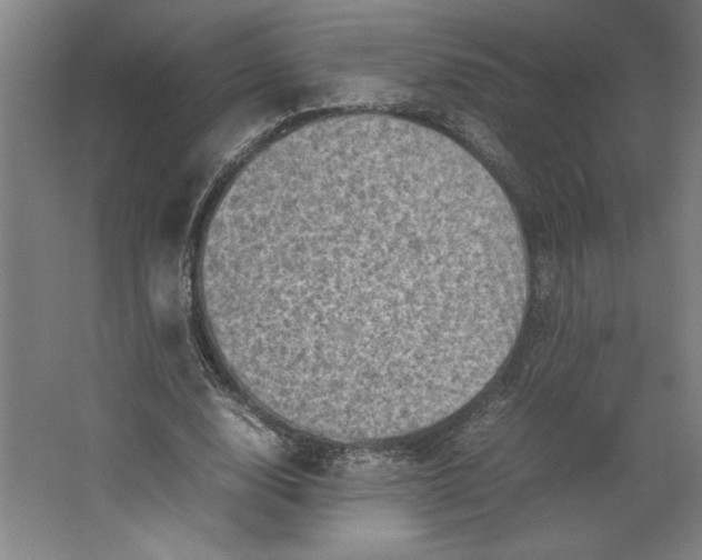 X0000062130632200512301502