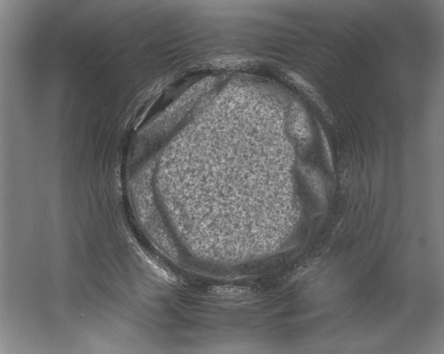 X0000062130633200512301502