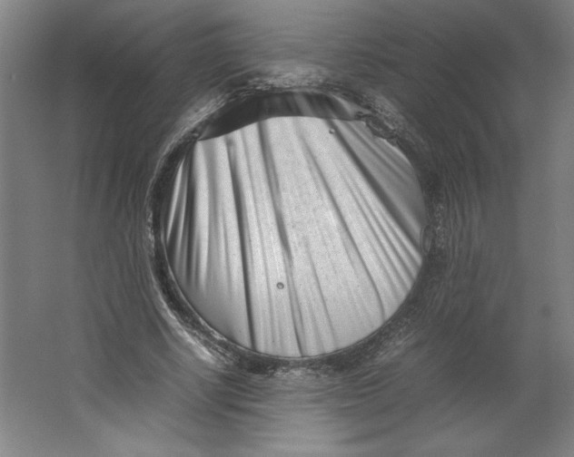 X0000062130634200512301502