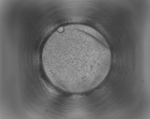 X0000062130636200512301502