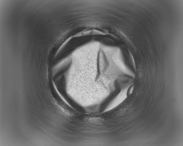 X0000062130637200512301502