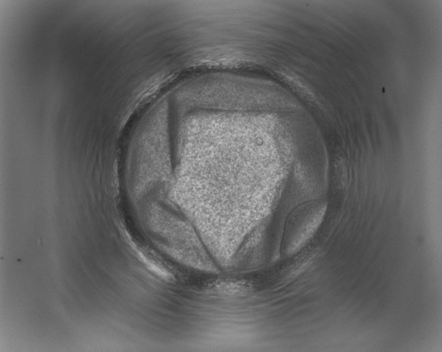 X0000062130638200512301502