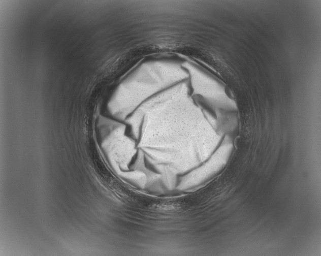 X0000062130639200512301502