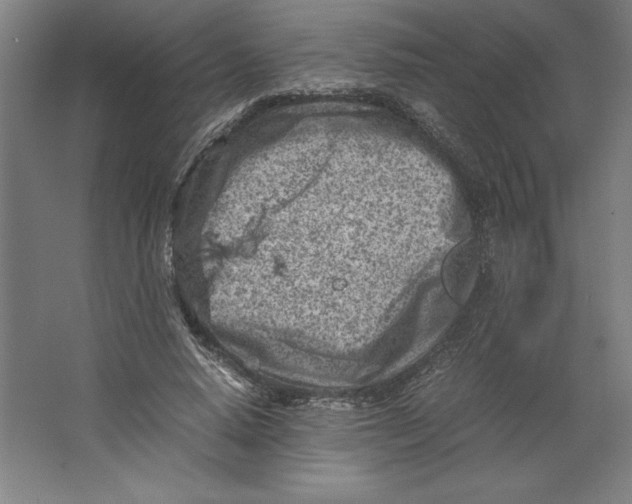 X0000062130640200512301502