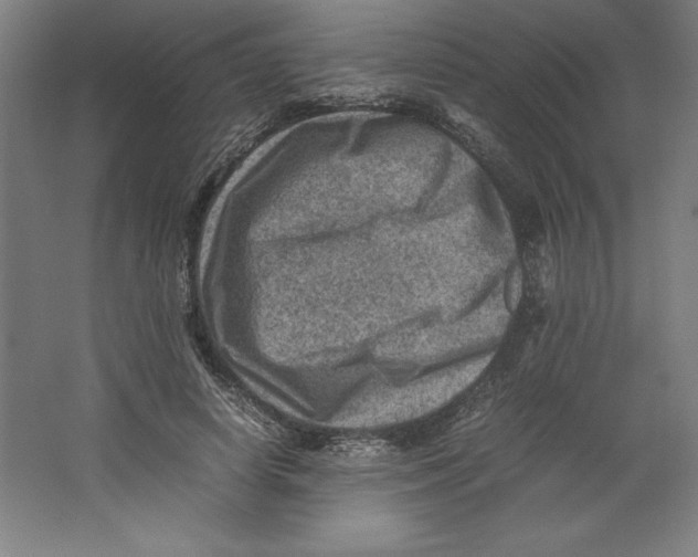 X0000062130642200512301502