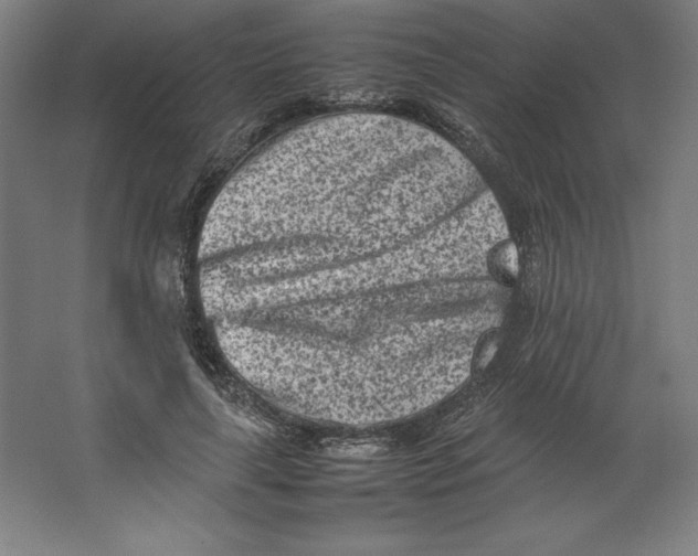 X0000062130643200512301502