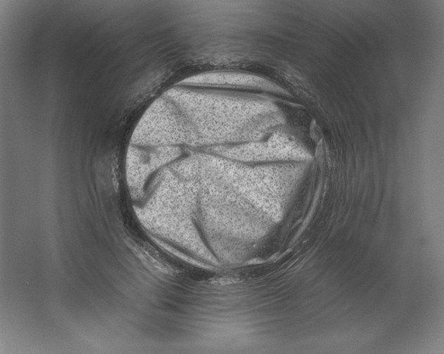 X0000062130644200512301502