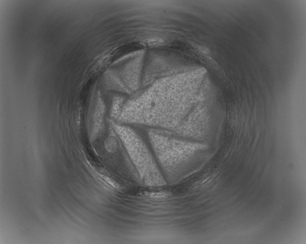 X0000062130645200512301502