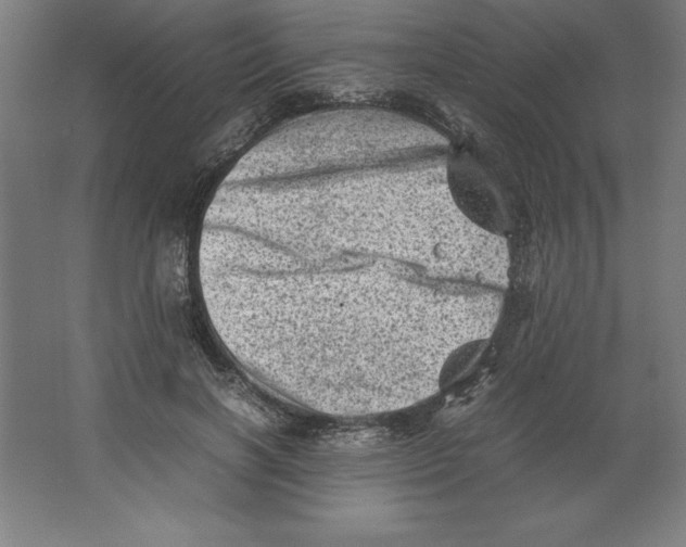 X0000062130646200512301502