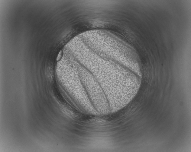 X0000062130648200512301502