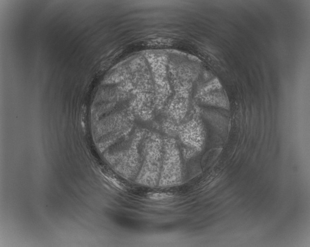 X0000062130649200512301502