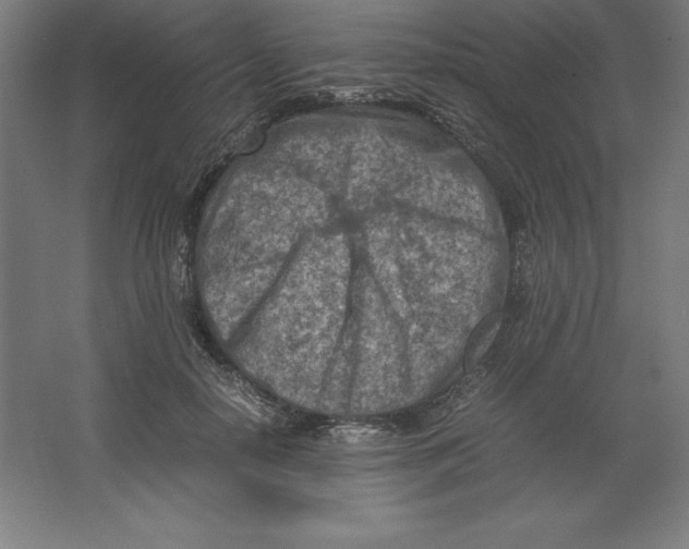 X0000062130650200512301502